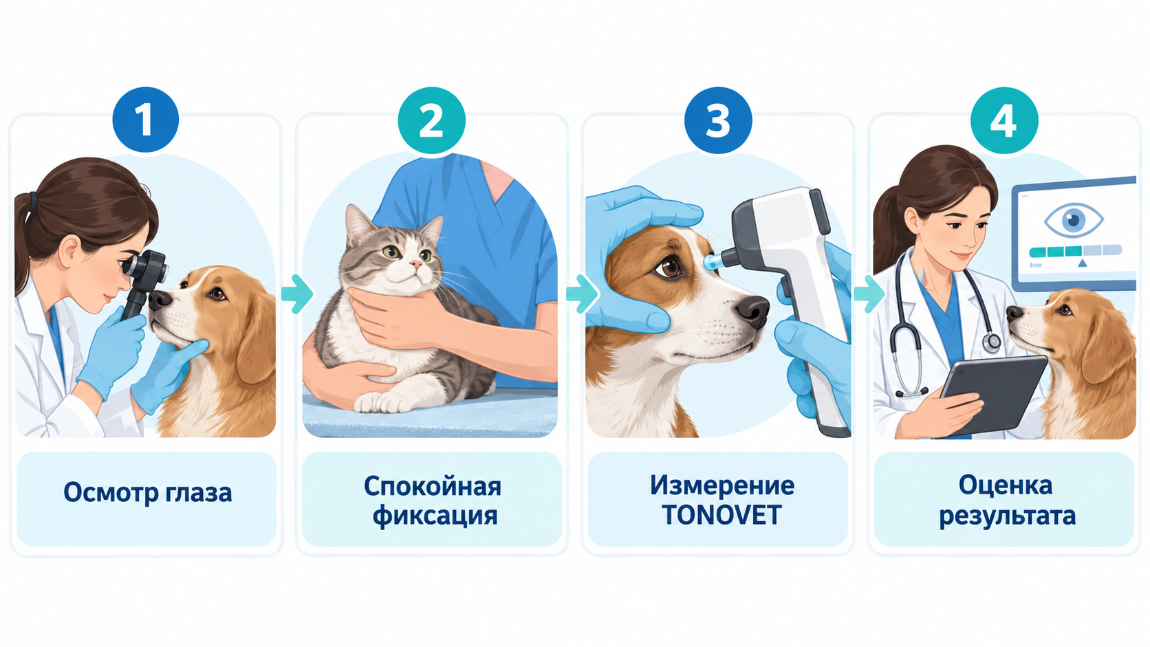 Офтальмотонометрия TONOVET Офтальмотонометрия TONOVET